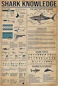 Shark Knowledge Funny Metal Tin Sign The Anatomy Of A Shark Retro Poster School Education Technology Museum Living Room Kitchen Bathroom Home Art Wall Decoration Plaque Gift Technology Museum, Poster School, Education Technology, School Education, Retro Poster, Kitchen Bathroom, Metal Tin, Room Kitchen, Living Room Kitchen