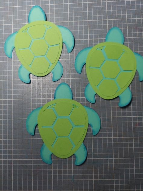 Kiwi Lane, Cute Turtles, Sea Turtles, Turtles, Kiwi, Scrapbook Pages, Sugar Cookie, Etsy Shop