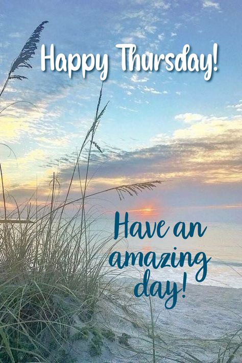 Happy Thursday Images Beautiful, Happy Thursday Pictures, Thursday Morning Quotes, Happy Thursday Morning, Good Morning Thursday Images, Happy Thursday Images, Thursday Greetings, Thursday Humor, Good Morning Happy Thursday