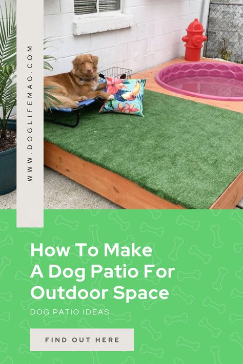 Dog Patio Ideas Dog Patio Ideas, Patio Ideas For Dogs, Dog Patio, Puppy Training Schedule, New Puppy Checklist, Puppy Checklist, Ideas For Dogs, Celebrity Dogs, Dog Spaces