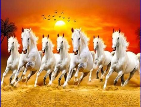 7 Horse Running Wallpaper, 7 Running Horses Wallpaper Hd, Ramnavmi Images Banner, Ramnavmi Images, Running Horse Wallpaper For Phone, Running Horse Wallpaper, Lord Surya Bhagavan Images, Running Wallpaper, Lucky Photo