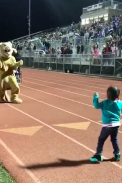 Crowd Loses It When Toddler And Mascot Have Epic Dance-Off Toddler Dance Classes, Toddler Dance, Funny Dance Moves, Funny Dancing Gif, Dance Like No One Is Watching, Dancing Baby, Being Honest, Dance Humor, Cute Funny Babies