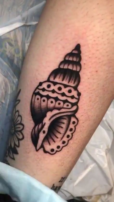 Seashell Flash Tattoo, Sea Shell Tattoo Traditional, American Traditional Sea Shell Tattoo, Simple Black Traditional Tattoo, Traditional Conch Shell Tattoo, Small Traditional Tattoo Black, Old School Shell Tattoo, Shell Traditional Tattoo, Girly Traditional Tattoo Black