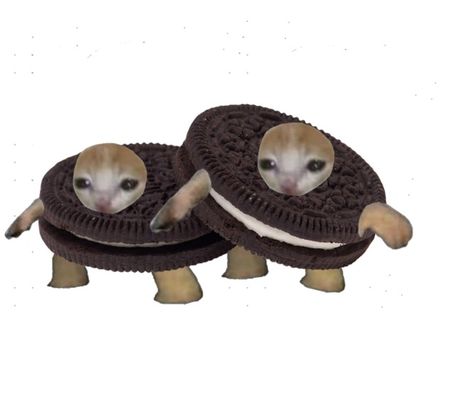 Imagenes Aesthetic, Silly Kitties, Banana Cat, Cat Crying, Oc Ideas, Cat Costumes, Cat Aesthetic, Silly Cats, Cat Face