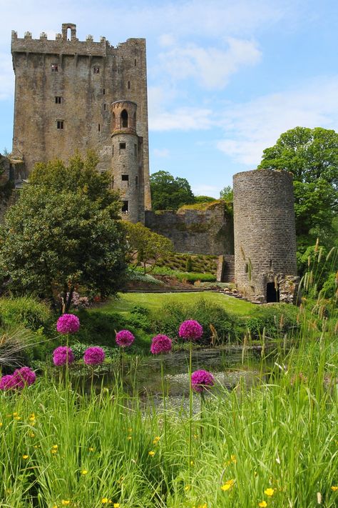 Blarney Castle Ireland, Business Trip Packing, Connecticut Travel, Blarney Castle, Ireland Destinations, Irish Beauty, Irish Castles, Castle Garden, Visit Ireland