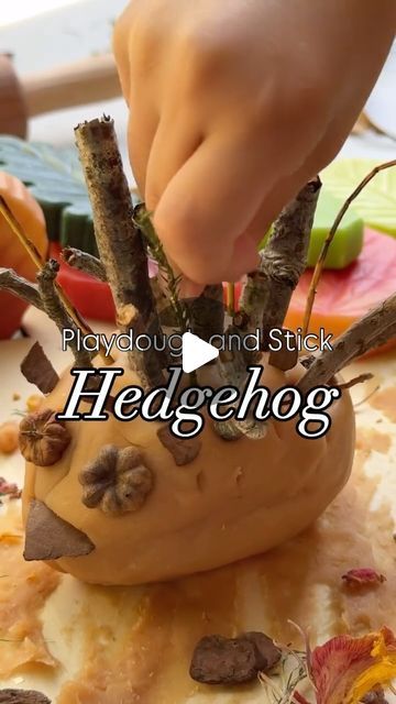 Charlotte Parry | Lottie Makes Social on Instagram: "Playdough and Stick Hedgehog 🦔🍂🍁🌿🧡  Simple Autumn crafts with children - let them collect their own sticks and bits from nature to create their little hoglet!  Dough from @curiositycornersensorydough   #playdough #hedgehog #nature #stick #autumn #craftsforkids #simpleactivities #hyggeintheearlyyears #playdoughplayactivities #playdoughfun #curiousdough" Hedgehog Playdough, Simple Autumn Crafts, Playdough Ideas, Sensory Dough, Playdough Activities, Easy Fall Crafts, Autumn Crafts, Physical Development, Play Dough