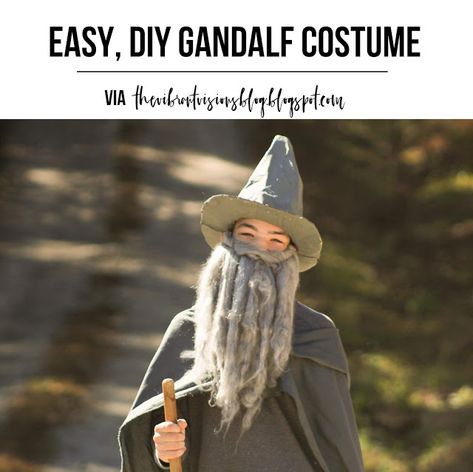 Gandalf The Grey Costume, Diy Gandalf Costume, Gandalf Costume, Diy Beard, Gandalf The Grey, Belle Costume, Diy Costumes Kids, Grey Beards, Book Week Costume