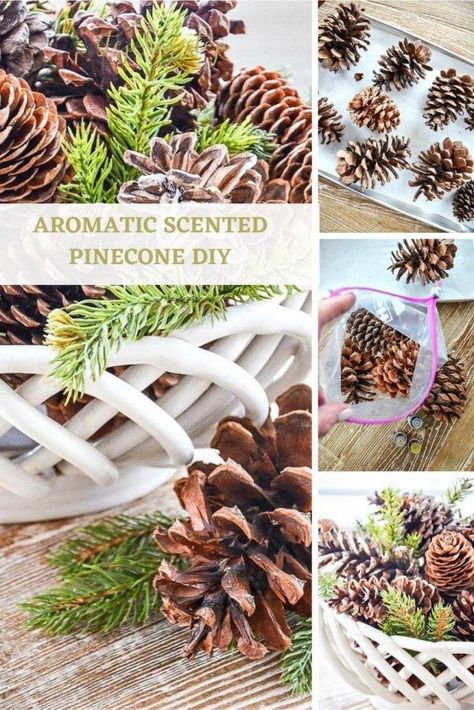 Fill your home with the cozy scents of the holiday season! Scent pinecones with essential oils. This is such an easy peasy diy. Even if you are not crafty you can do this! #christmasdiy #pinecones #christmascenterpiece #scentedpinecones #homedecordiy #easyhomediy #christmasproject #holidaydiy #stonegableblog #stonegable Cozy Scents, Diy Xmas Ornaments, Scented Pinecones, Christmas Presents For Kids, Diy Scent, Christmas Pine Cones, Sweet Gum, Diy Pinecone, Natural Beauty Recipes