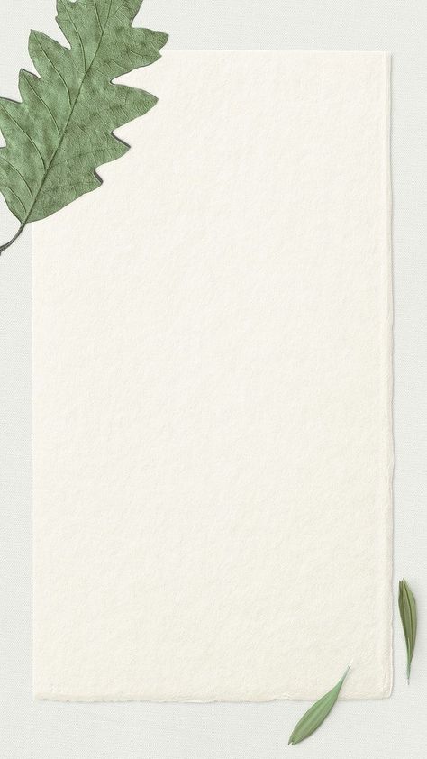 Instagram Story Frame, Green Texture Background, Story Frame, Branch Frame, Paper Texture Background, Leaf Frame, Tropical Background, Paper Background Design, Card Background