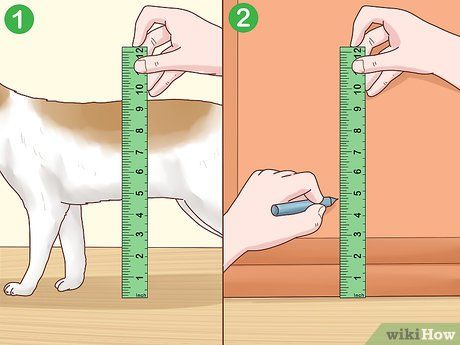 How to Fit a Cat Flap: 14 Steps (with Pictures) - wikiHow Cat Behavior Problems, Diy Cat Bed, Cat Flap, Pet Area, Lots Of Cats, Cat Door, Cat Behavior, Cat Shelter, Cat Treats