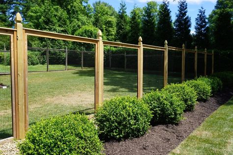 Deer Fencing NJ - Deer Fence Contractor Near Toms River, Freehold, New Jersey Deer Fence Garden, Deer Fencing, Short Fence, Door Pergola, Deer Garden, Home Fencing, Vinyl Pergola, Aluminum Fencing, Deer Fence