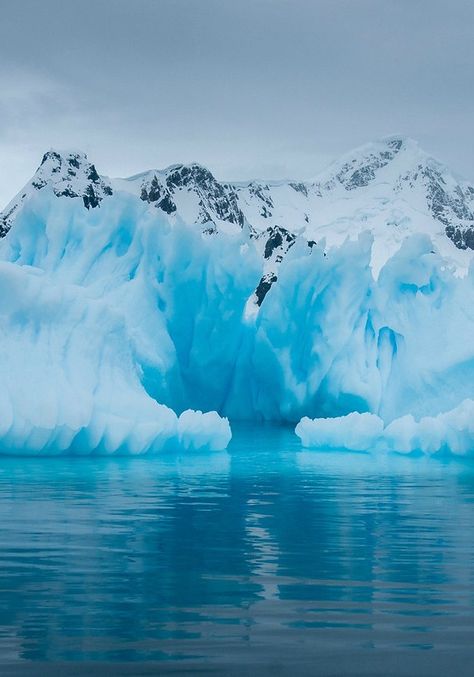 Paradise Bay was one of the last stops on the G Adventures tour I took to Antarctica in January. It was absolutely the best location we had for viewing sea ice. I feel the need to note that the blue colors you see in many of the images was not manipulated. The blues were literally that deep in color. Antarctica Travel, Sea Ice, Winter Nature, Adventure Tours, Photo Essay, Best Location, Beautiful World, Beautiful Landscapes, Amazing Photography