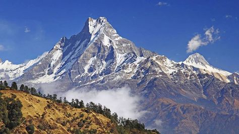 Mardi Himal Trek Cost | Itinerary | Guide and Porters – Group Join 2019 | Nepal trekking & Hiking Guide Informations Mossy Skull, Snow Leopard Habitat, Nepal Nature, Mardi Himal, Mountain Painting Acrylic, Annapurna Trek, Mountain Temple, Restricted Area, Tibet Travel