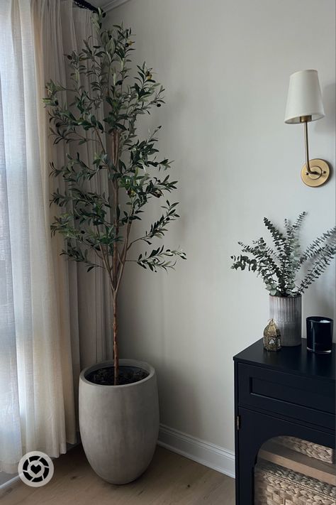 Faux olive tree Faux Olive Tree Bedroom, Olive Tree Living Room Decor, Indoor Plants In Living Room, Fake Olive Tree, Tree With Branches, Minimalist Tips, Weathered Concrete, Modern Organic Bedroom, Bedroom Trash Can