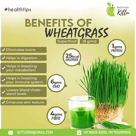 Wheatgrass Benefits, Wheat Plant, Wheatgrass Powder, Health Tonic, Lemon Detox, Food Health Benefits, Anti Aging Food, Everyday Health, Herbs For Health