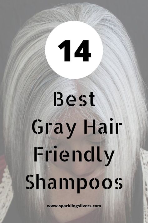 Cover Gray Hair Naturally, Brighten Gray Hair, Silver Hair Shampoo, Hair Brunettes, Grey Hair Journey, Graying Hair, Grey Hair Care, Shampoo For Gray Hair, Natural Hair Shampoo