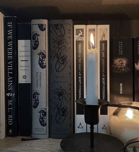 Book Black Aesthetic, Black Books Aesthetic, Dark Books Aesthetic, Dark Reading Aesthetic, Books Dark Aesthetic, Dark Book Aesthetic, Book Core, History Aesthetic, Tender Is The Night