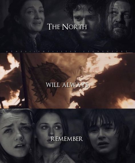 Instagram: Westeros.fp Game Of Thrones Instagram, Game Of Thrones Prequel, Game Of Thrones Series, Game Of Thrones Quotes, The North Remembers, Peter Dinklage, King In The North, Crazy Fans, House Stark