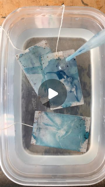 Jane Constable on Instagram: "UPDATE - CYANOTYPE TEABAG TUTORIAL NOW AVAILABLE - LINK IN BIO 💙 . I’ve been playing with more hummingbirds on teabags today, despite having a million other (probably) more urgent things to do… . Following the overwhelming response to the photograph I posted last week, I thought I’d try to make a more thorough process reel of where am at now with these little guys. It really is hard to cram the whole process into the maximum 90 seconds allowed for reels - so if there’s something which isn’t clear, do ask away! 💙 . . . . . . . . . . . . . . . . . . . . . #teabagart #teabag #alternativeprocess #alternativeprocesses #cyanotype #cyanotypeart #cyanotypeprint #miniprint #tinyart #hummingbird #hummingbirds #birdart #tinybird #birdartist #alternativeprinting #printm Cyanotype Tutorial, Teabag Art, Cyanotype Diy, Pg Tips, Cyanotype Process, Bird Artists, Tea Bag Art, Tiny Bird, Blue Art