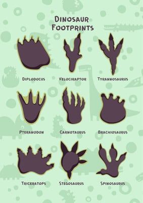 Dinosaur Feet Template, Diy Fossils, Dino Tracks, Dino Footprint, Dinosaur Activities Preschool, Puzzle Ideas, Animal Footprints, Dinosaur Tracks, Dinosaur Footprint