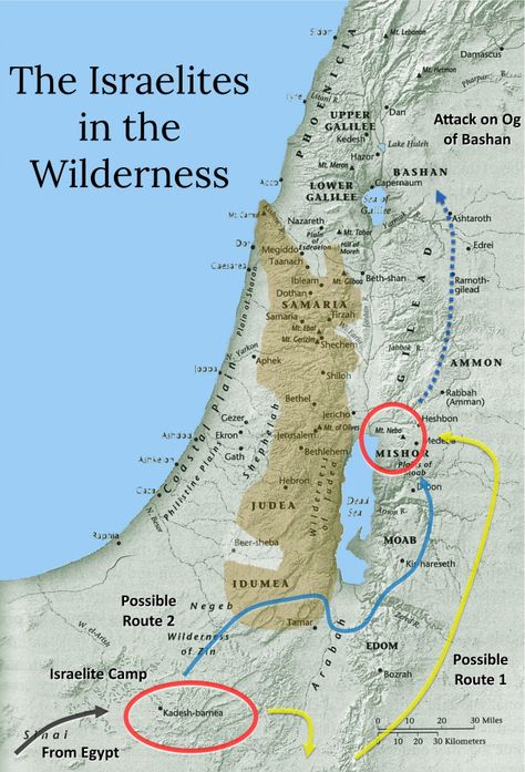 Israelites In The Wilderness, Lebanon Map, Bible Maps, Bible Genealogy, Teen Bible Study, Bible Aesthetic, Booklet Cover, Bible Mapping, Family Fun Night