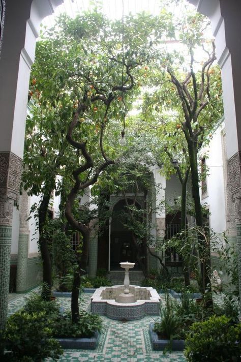 Moroccan Courtyard, Moroccan Garden, Indoor Courtyard, Culture Center, 아파트 인테리어, Patio Interior, Courtyard House, Design Hotel, Arabic Language