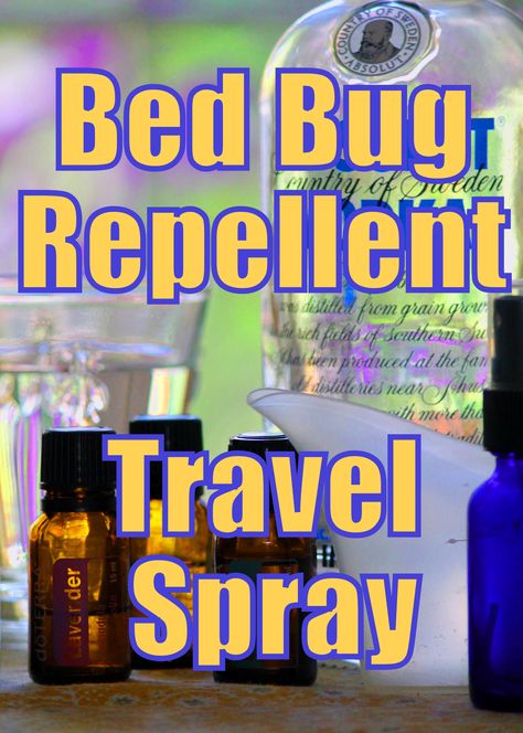 Bed Bug Repellent Travel Spray - Keep bed bugs at bay naturally. Bug Repellent Diy, Bed Bug Repellent, Repellent Diy, Bed Bug Spray, Green Clean, Bed Bug, Bug Repellent, Bug Spray, Smart Ideas