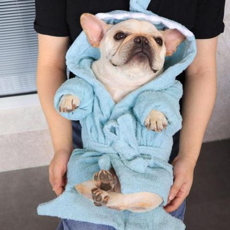 Dog Shark Costume, Shark Dog, Dog Fashion Clothes, Bulldog Clothes, French Bulldog Clothes, Cartoon Shark, Cute Dog Clothes, Dog Suit, Dog Shedding