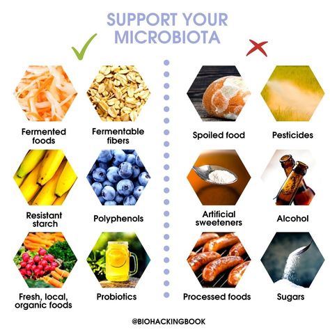 Biohacker's Handbook on Instagram: “Microbiota refers to the colonies of symbiotic, commensal, and pathogenic micro-organisms. These colonies exist, for example, on the skin's…” Micro Biome, Micro Organisms, Best Vegetables, Gut Microbiota, Hat Patterns To Sew, Hat Patterns, Biome, Health Breakfast, Processed Food