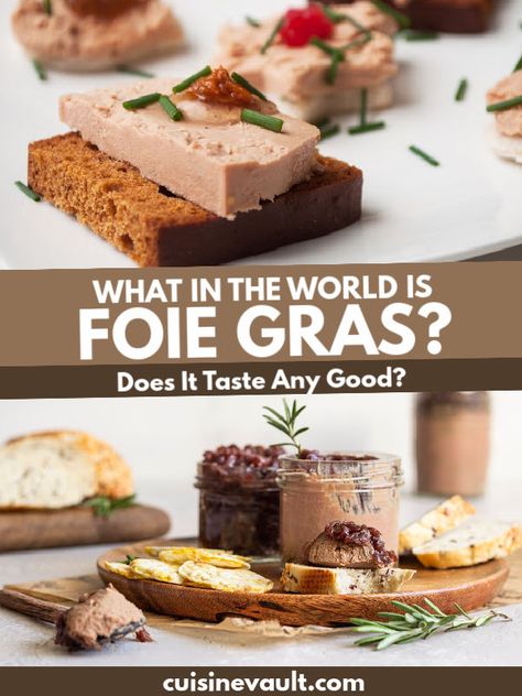 Foi Gras Recipe, Fois Gras Recipe, Foie Gras Plating, Goose Liver Pate, Foie Gras Fine Dining, Foie Gras Recipe, Book Tok, Pate Recipes, Cooking Inspiration