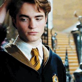 Film Harry Potter, Rita Skeeter, Gellert Grindelwald, Harry Potter Gif, Cedric Diggory, J K Rowling, Macho Man, Harry Potter Film, Harry Potter Cast