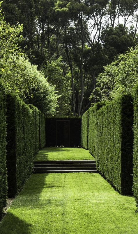 Peter Fudge, Grass Path, Formal Garden Design, Garden Hedges, Formal Garden, Have Inspiration, Formal Gardens, Green Garden, Modern Garden