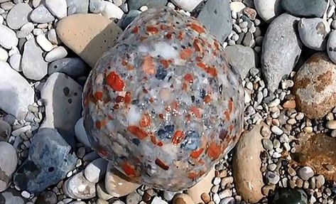 Pudding Stone, Lake Michigan Stones, Michigan Rocks, Drummond Island, Rock Creations, Gem Hunt, Rock Identification, Rock Tumbling, Travel Wishes