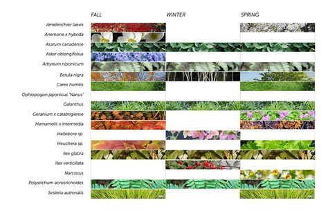 Roof Garden Plants, House Garden Landscape, Landscape Architecture Diagram, Design Diagram, Areas Verdes, Planting Plan, Easy Landscaping, Traditional Landscape, Diagram Architecture