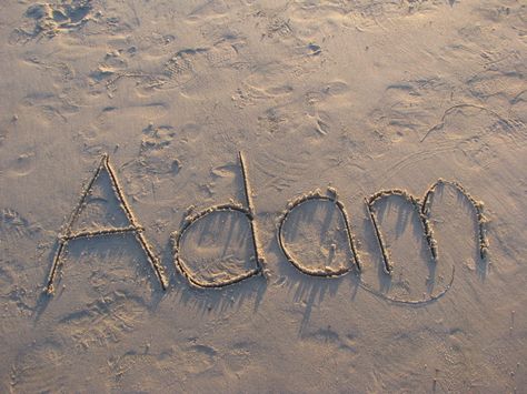 Adam Adam Name Meaning, Adam Name, Adidas Wallpaper Iphone, Mr Adams, Emotionally Intelligent, Baby Boy Name, Adidas Wallpapers, Give Peace A Chance, Boy Name