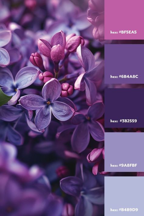 Pink And Purple Pallet, Purple Flower Color Palette, Lilac Purple Color Palette, Purple Color Palette Aesthetic, Purple Gradient Color Palette, Lilac Color Palette Colour Schemes, Shades Of Purple Colour Palettes, Shades Of Purple Aesthetic, Color Palette With Purple