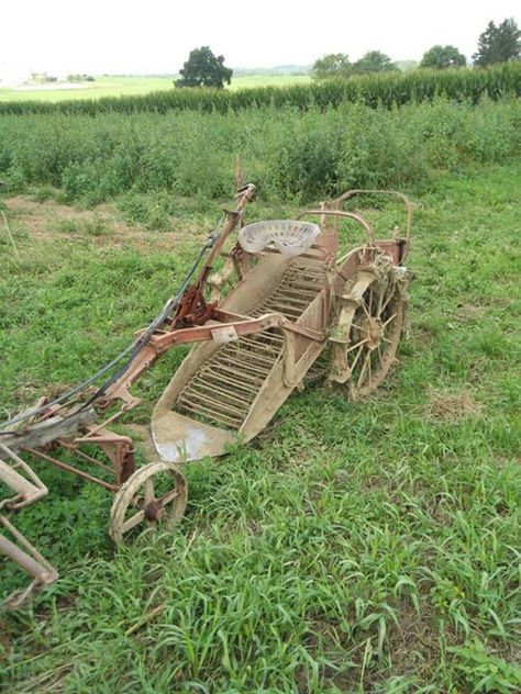 Amish potato digger Amish Farming, Potato Digger, Modern Table Design, Antique Wagon, Church Fellowship, Old Scool, Amish Culture, Farm Implements, Amish Life