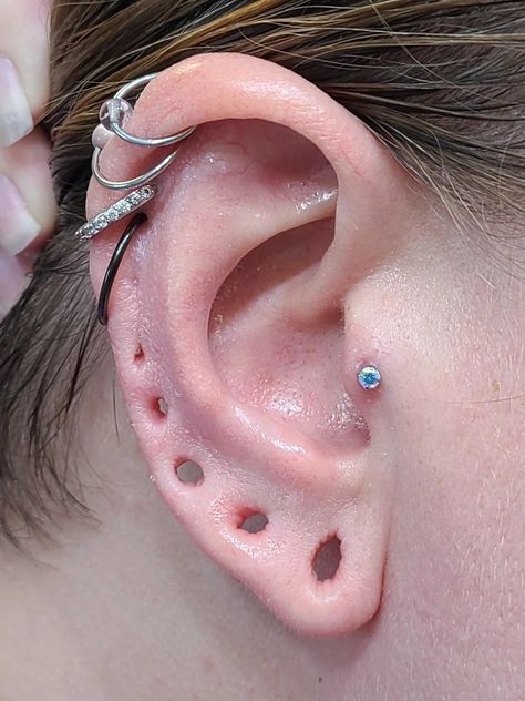 Stretched Ears Aesthetic, Ears Aesthetic, Ear Stretching, Mod Jewelry, Ear Party, Body Modification, Stretched Ears, Body Modifications, Piercing Tattoo