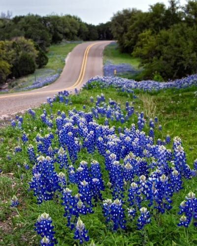 Roadside Landscape Design, Roadside Landscaping, Perenial Garden, Mailbox Garden, Soil Erosion, Planting Tips, Plant Help, Erosion Control, Flower Garden Design