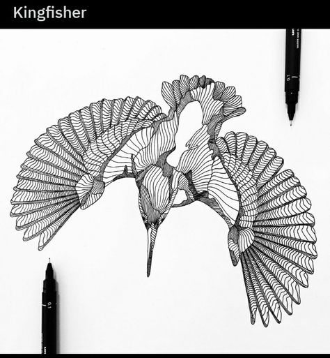 Tattoo And Stencil, Kingfisher Tattoo, Pelican Tattoo, Goa Tattoo, Tattoos Birds, Small Sketches, Fly Drawing, King Fisher, Octopus Tattoo Design