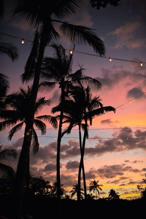 #sky #tropical #amazing #holidays #happiness #romantic #beach #sunset #clouds #summer  https://weheartit.com/entry/326846588 Strand Wallpaper, Tree Wallpaper, Beach Wallpaper, Sunset Wallpaper, Tumblr Wallpaper, Iphone Background Wallpaper, Summer Wallpaper, Survival Kit, Nature Aesthetic