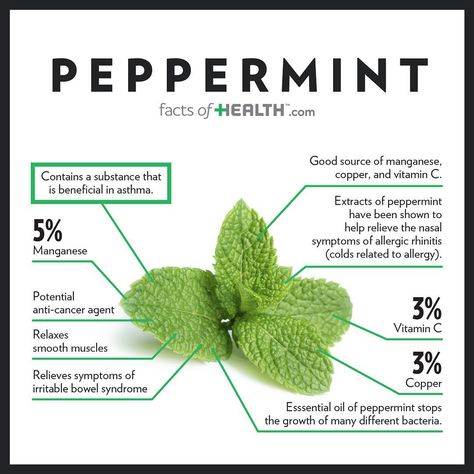 5,135 Likes, 33 Comments - FactsofFood (@factsoffood) on Instagram: “#peppermint” Wellness Foods, Food Benefits, Gym Nutrition, Food Resources, Food Health Benefits, Nutrition Coaching, Sport Nutrition, Healing Food, Health Nutrition