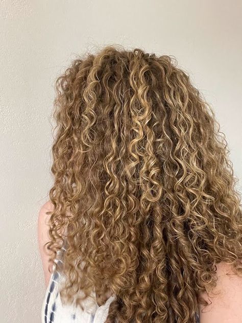 thank you, i grew it myself! Brown Hair Golden Highlights, Hair Inspo Brown, Curly Hair Inspo, Golden Highlights, Hair Color Chart, Curly Hair Wig, Types Of Curls, Bob Styles, Curly Hair Care