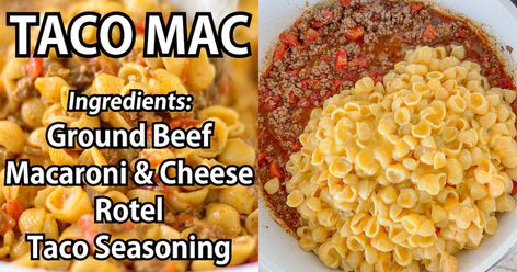 THE BEST Taco Macaroni and Cheese Recipe! Easy Recipes With Macaroni Noodles, Easy Taco Mac, Macaroni And Cheese Recipe With Meat, Crockpot Taco Mac And Cheese, Taco Mac And Cheese Velveeta, Taco Mac And Cheese Kraft, Easy Taco Mac And Cheese, Taco Mac And Cheese Casserole, Taco Mac N Cheese