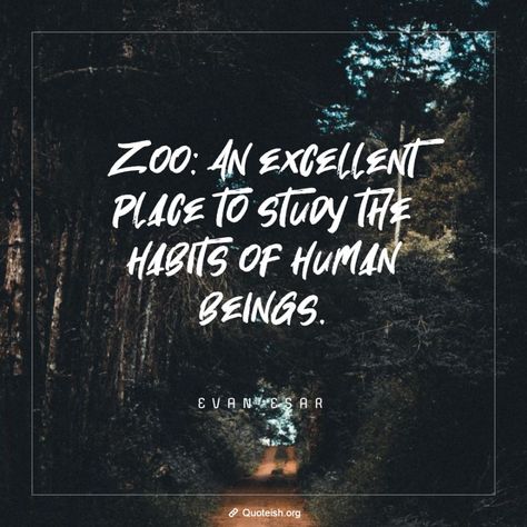 25+ Zoo Quotes - QUOTEISH Animal Quotes Funny, Zoo Quotes, Emotions Quotes, Gerald Durrell, Human Zoo, Hoagy Carmichael, Little Britain, French Collection, In The Zoo