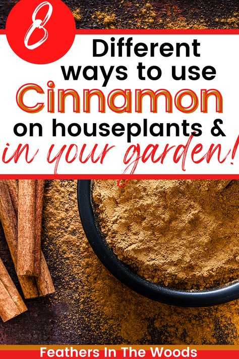 cinnamon for the garden Cinnamon For Plants, Rooting Hormone Diy, Cinnamon In The Garden, Plant 101, Getting Rid Of Nats, Cinnamon Plant, Cinnamon Garden, Cinnamon Uses, Survival Preparedness