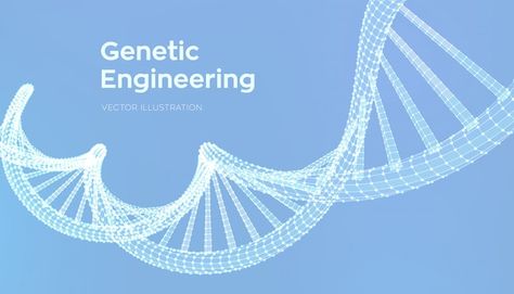 Free Vector | Dna sequence in hand. wireframe dna code molecules structure mesh. Molecule Model, Dna Helix, Chemical Science, Dna Molecule, Dna Model, Dna Sequence, Human Genome, Human Dna, Dna Code