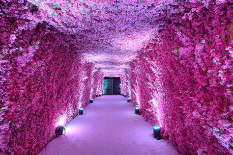 amazing flower tunnel Flower Tunnel Entrance, Flower Tunnel Wedding Entrance, Flower Tunnel Wedding, Green Background Decoration, Flower Hallway, Floral Tunnel, Flower Entrance, Flower Wedding Decorations, Flower Tunnel