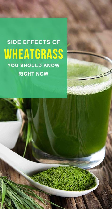 Wheat Grass Smoothie Recipes, Wheatgrass Smoothie Recipe, Wheat Grass Recipes, Wheat Grass Benefits, Wheatgrass Recipes, Benefits Of Parsley, Wheatgrass Benefits, Wheatgrass Smoothie, Wheat Grass Shots