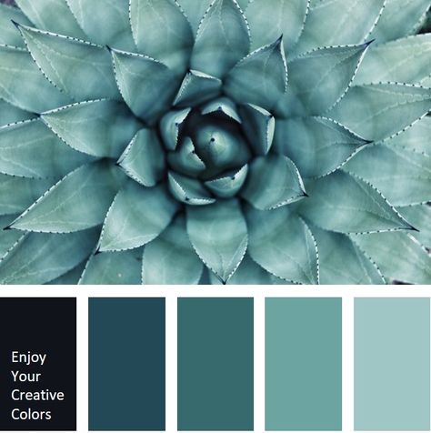 Color Palette #0066 House Paint Interior, Color Schemes Colour Palettes, Apartment Diy, Room Color Schemes, Room Apartment, Green Colour Palette, Bedroom Color Schemes, Bedroom Paint Colors, Living Room Green